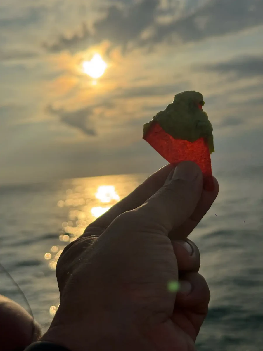 La hora dorada en el mar frente a Quepos, Costa Rica